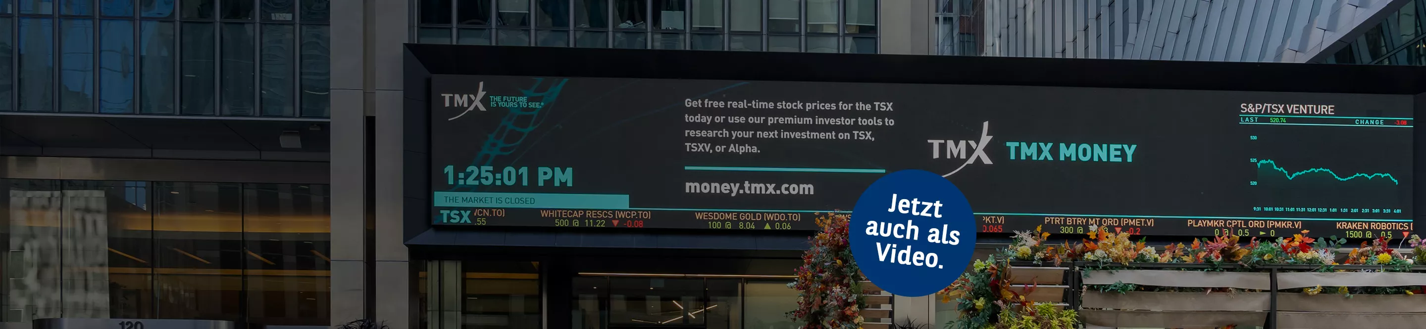 TMX