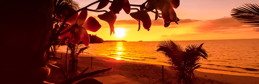 Blog_TT_Tuvalu_880x288.jpg
